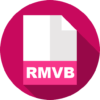 rmvb converter