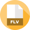 flv converter